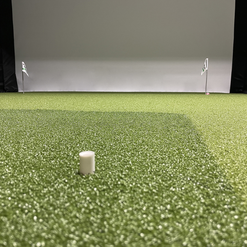 Big Moss Commander Single Level Foundation Sim Green low angle closeup of putting green golf hole.