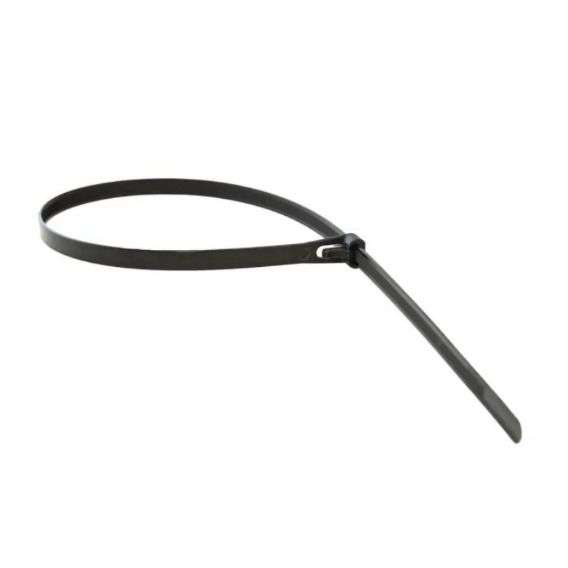 Carl's Place Releasable Zip Tie single.